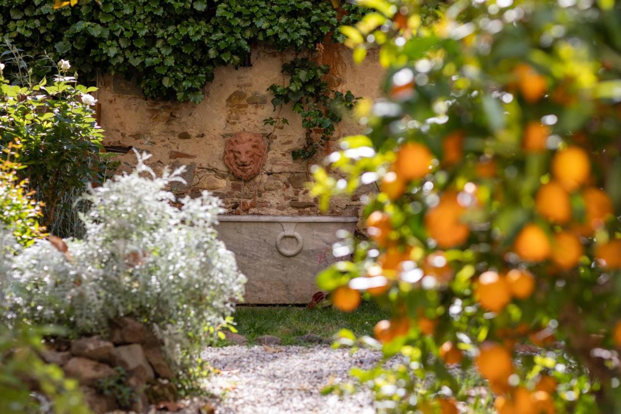 Secret Garden Firenze B&B Bagian luar foto