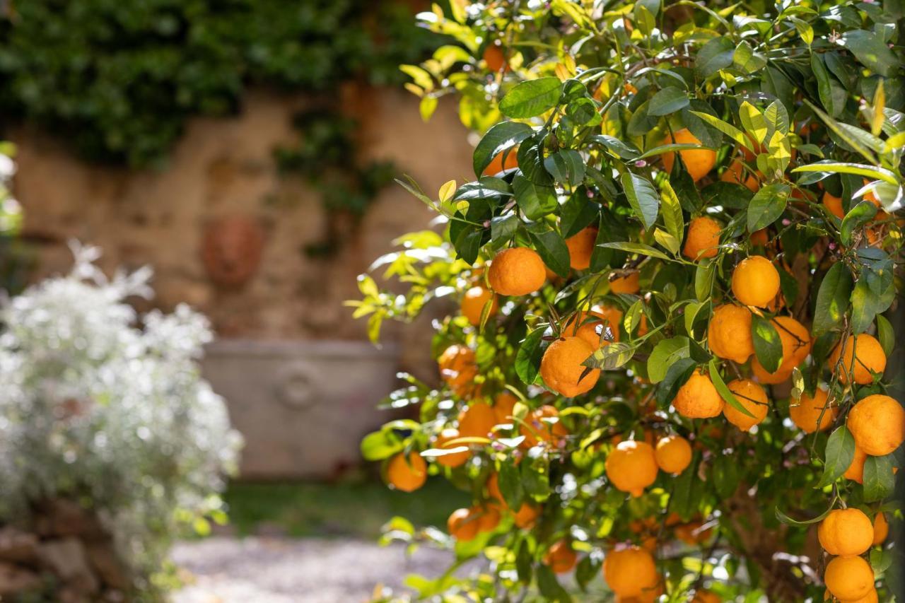 Secret Garden Firenze B&B Bagian luar foto