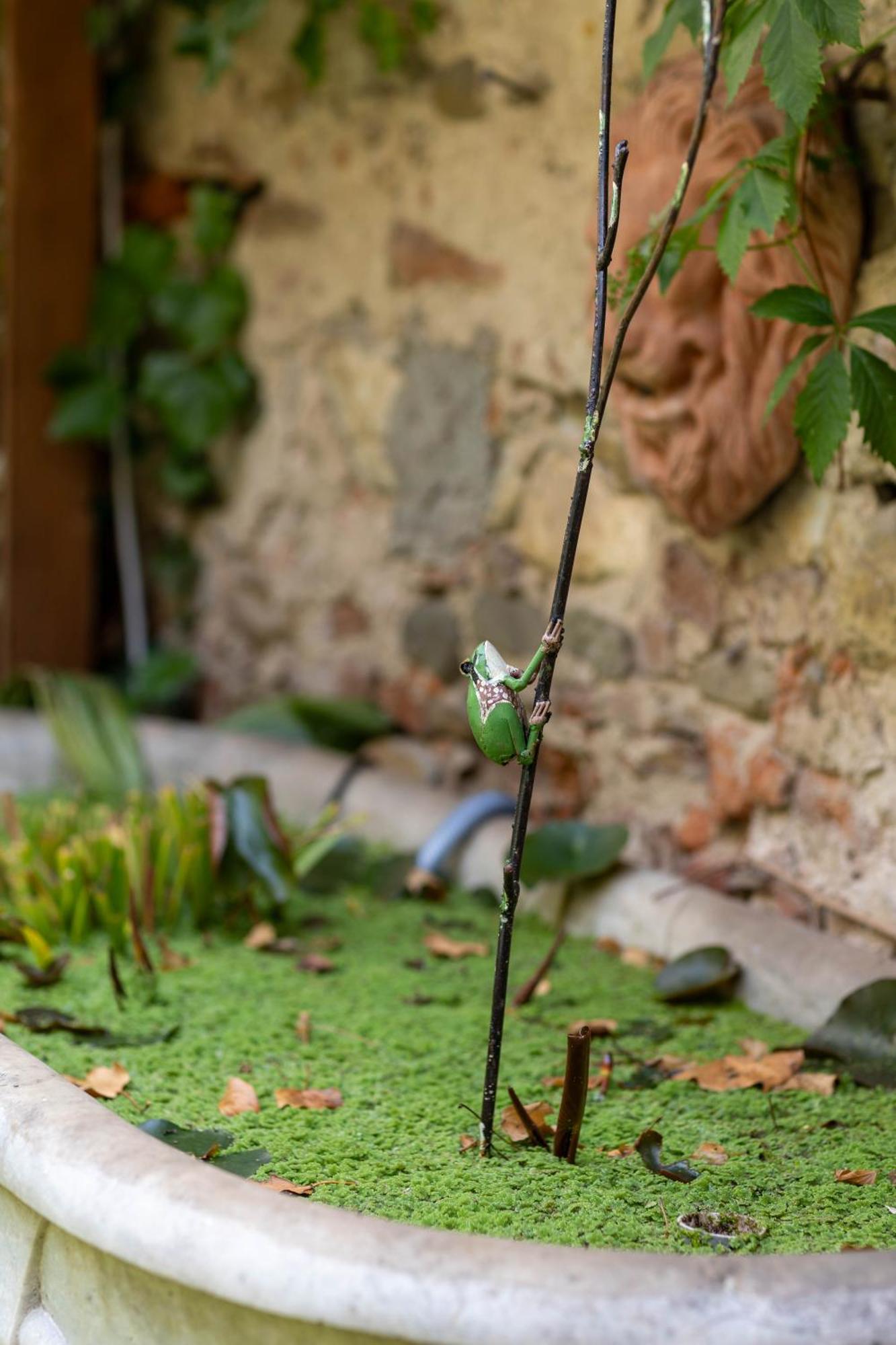 Secret Garden Firenze B&B Bagian luar foto