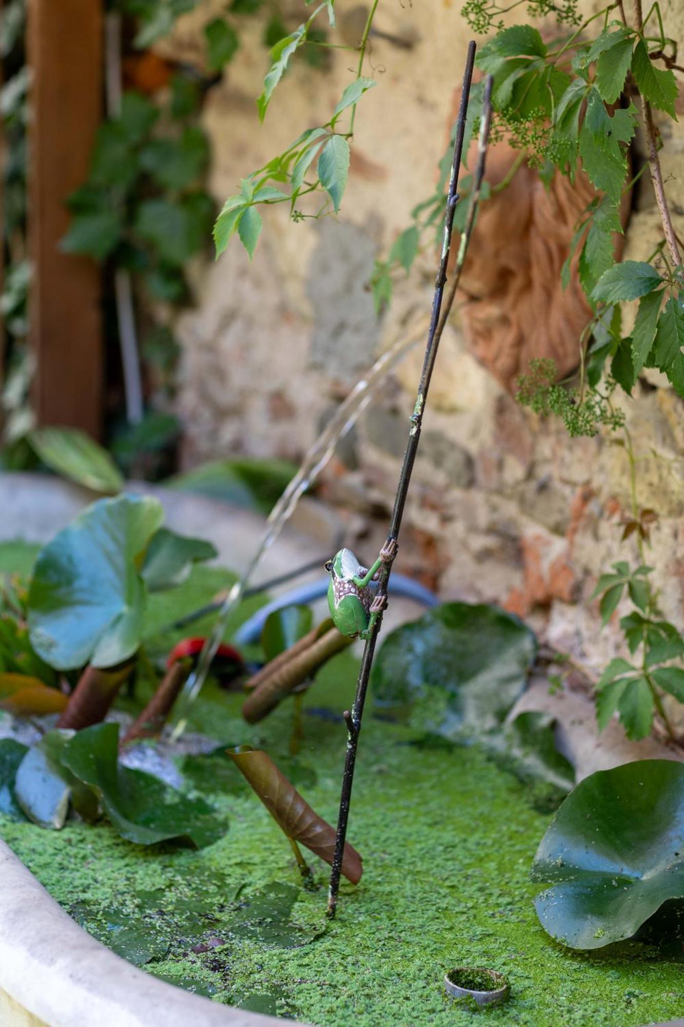 Secret Garden Firenze B&B Bagian luar foto
